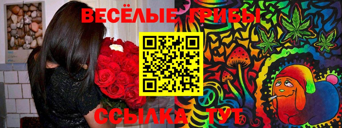 Псилоцибиновые грибы GOLDEN TEACHER  Вход с VPN  Еманжелинск 